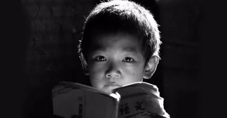 渴望知識的眼睛