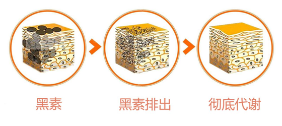 排出黑素徹底代謝