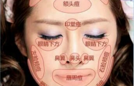 臉部長痘對應身體哪些器官？